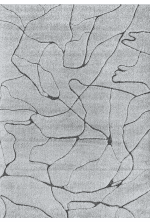 Línea de muebles y decoración en color gris con patrones de hojas y formas abstractas.