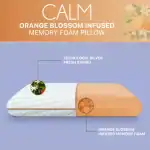 Suelo de madera con mesa de escritorio moderna y cómoda en un espacio de oficina bien iluminado. Decoración con plantas y libros que generan un ambiente productivo y acogedor para trabajar y estudiar.