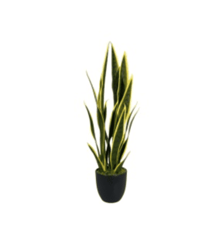 Variedad de plantas en maceta con hojas verdes y amarillas, ideales para decorar y dar vida a cualquier espacio interior o exterior. Perfectas para combinar con muebles y sillones de Zona Muebles.