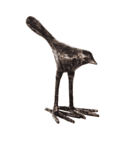 Ferro en forma de ave decorativa de estilo rústico, ideal para decorar espacios con muebles de madera y elementos de diseño vintage. Perfecto para añadir un toque original a la decoración del hogar o la oficina.