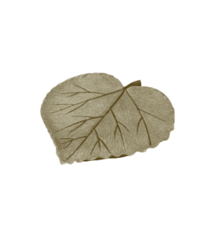 Hoja decorativa en tonos beige para muebles y decoración.