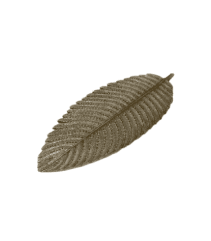 Helecho decorativo de fibra natural con detalles en relieve.